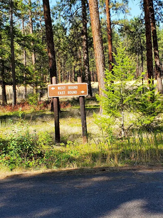 Quartz Flat Campground Picture 6