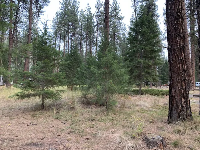 Forest Grove Campground Picture 5