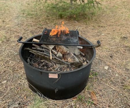 Forest Grove Campground