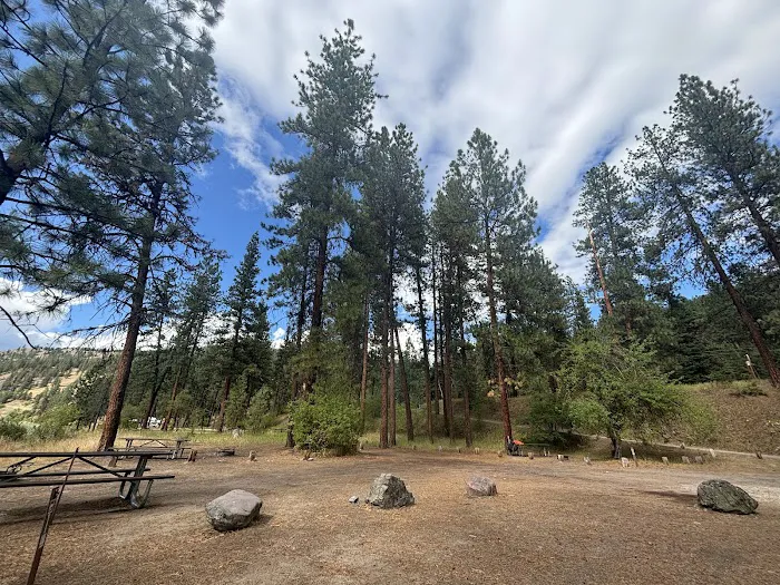 Forest Grove Campground Picture 2