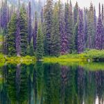 Rocky Ridge Lake Campground