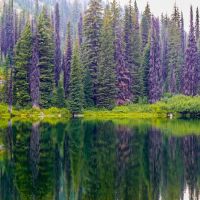 Rocky Ridge Lake Campground ico