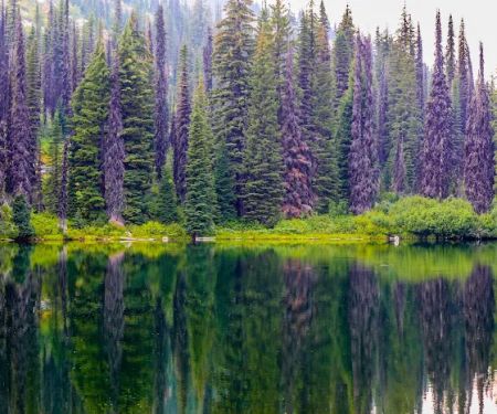 Rocky Ridge Lake Campground