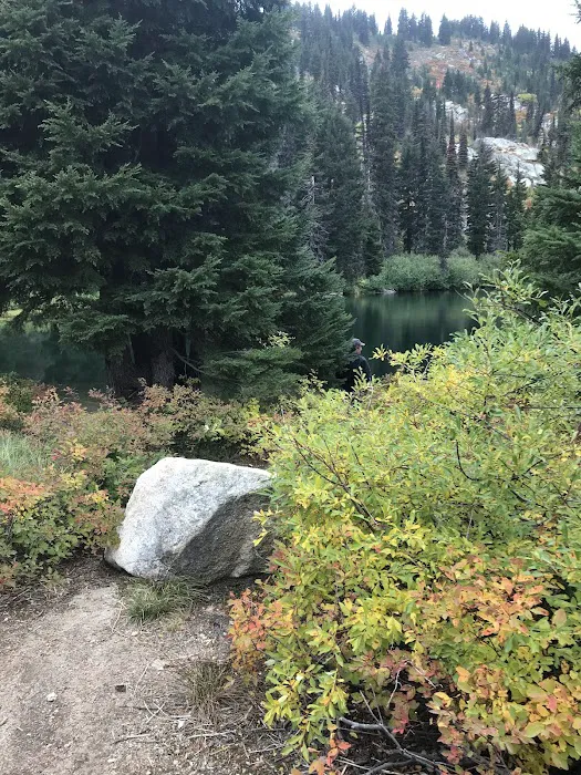 Rocky Ridge Lake Campground Picture 9