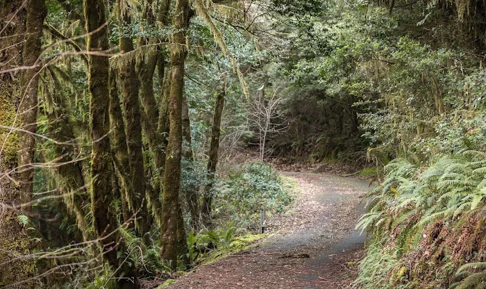 Sixes River Campground Picture 4