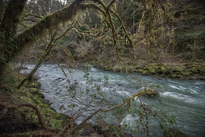 Sixes River Campground Picture 5