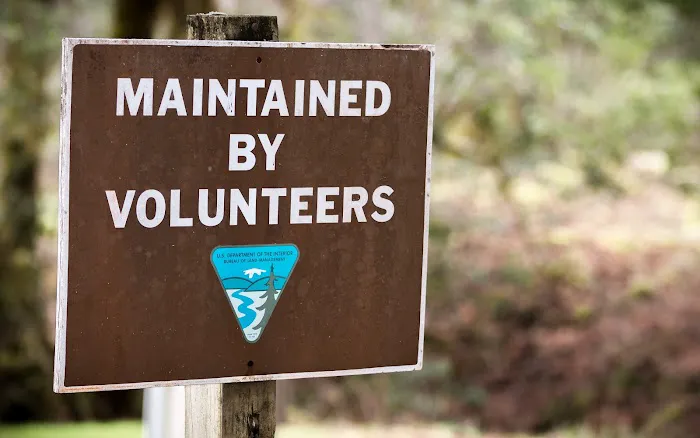 Sixes River Campground Picture 3