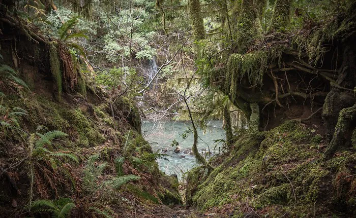 Sixes River Campground Picture 6