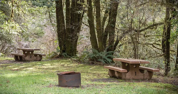 Sixes River Campground Picture 8