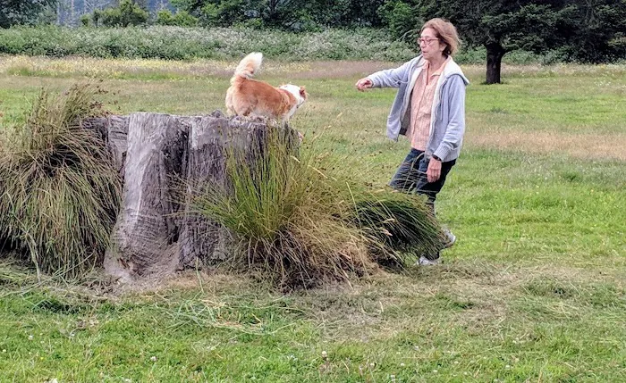 Elk River Campground Picture 9