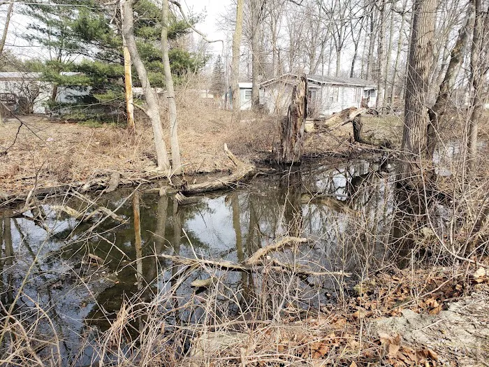 Arrowhead Lake Picture 4