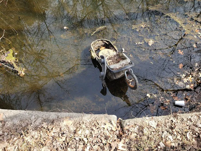 Arrowhead Lake Picture 3