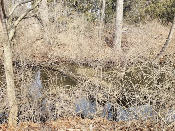 Arrowhead Lake Picture 2