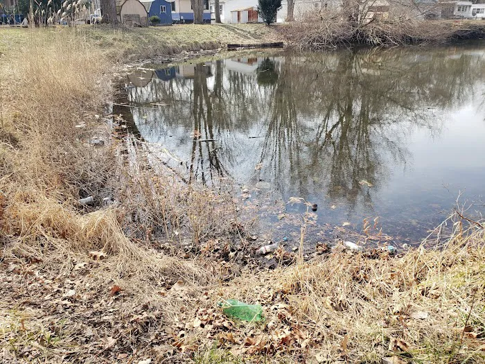 Arrowhead Lake Picture 6