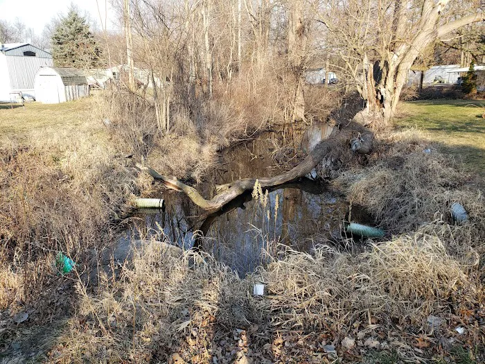 Arrowhead Lake Picture 7