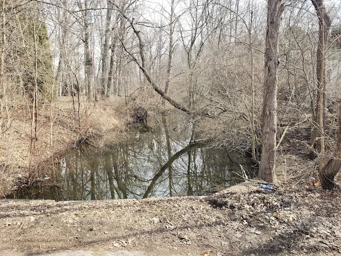 Arrowhead Lake Picture 5