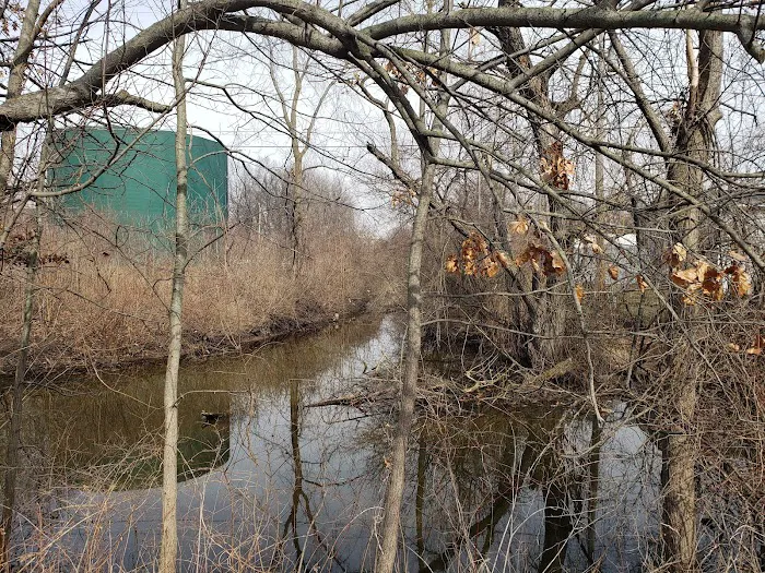 Arrowhead Lake Picture 10