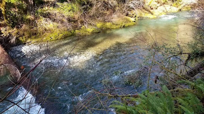 Sunshine Bar Campground Picture 2