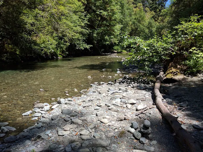 Sunshine Bar Campground Picture 5