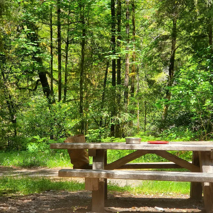 Sunshine Bar Campground Picture 7