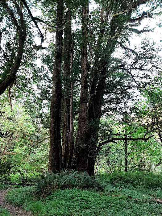 Sunshine Bar Campground Picture 9