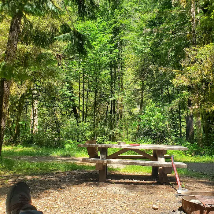 Sunshine Bar Campground Picture 8