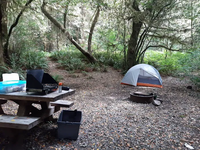 Sunshine Bar Campground Picture 3