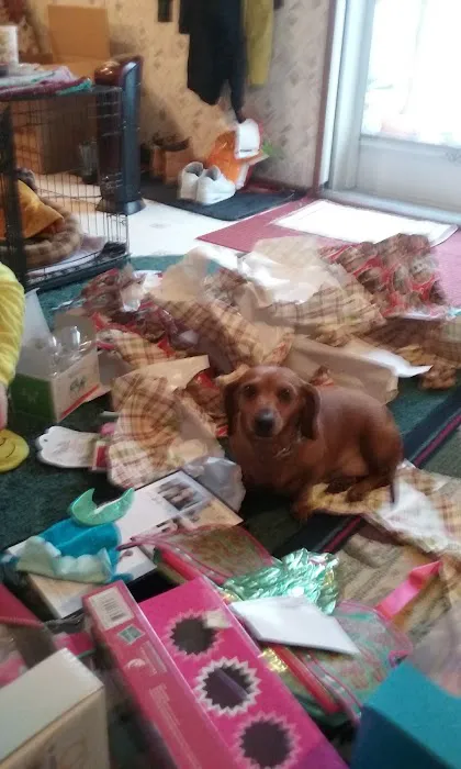 Green Acres Manufactured Home Community Picture 5