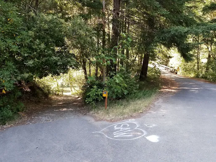 Butler Bar Campground Picture 9