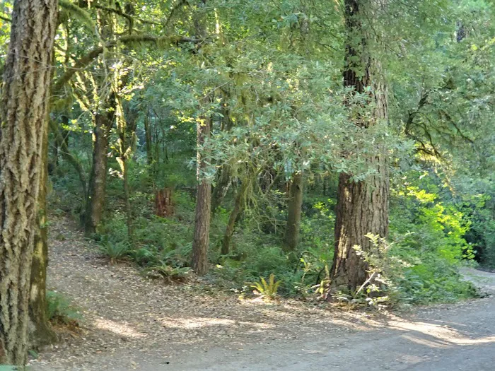 Butler Bar Campground Picture 4