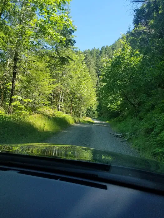 Laird Lake Campground Picture 10