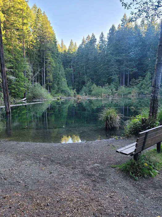 Laird Lake Campground Picture 1