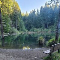 Laird Lake Campground ico