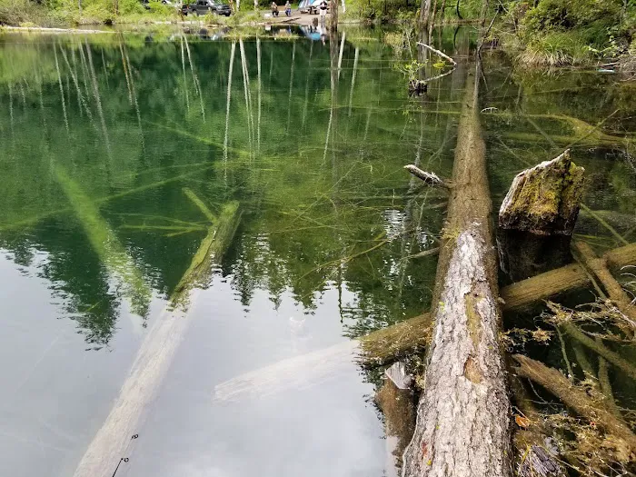 Laird Lake Campground Picture 8