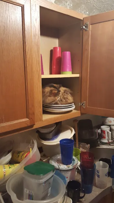 Timber Creek Picture 3