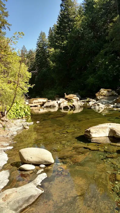 Daphne Grove Campground Picture 9