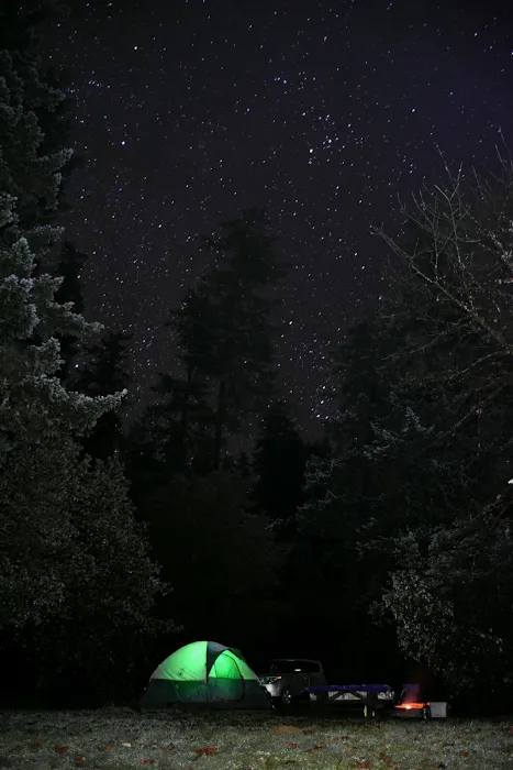 Daphne Grove Campground Picture 10