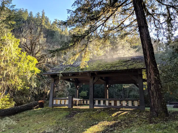 Daphne Grove Campground Picture 7