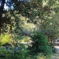 Daphne Grove Campground ico