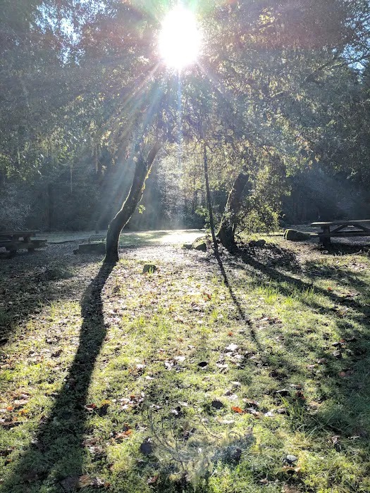 Daphne Grove Campground Picture 6