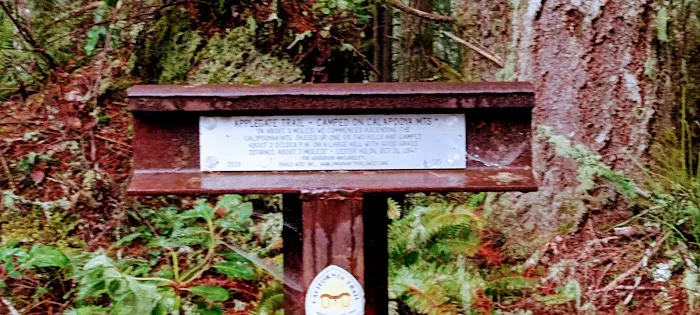 Daphne Grove Campground Picture 4