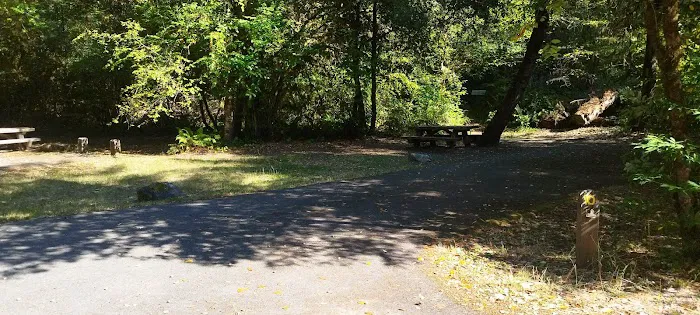 Daphne Grove Campground Picture 3