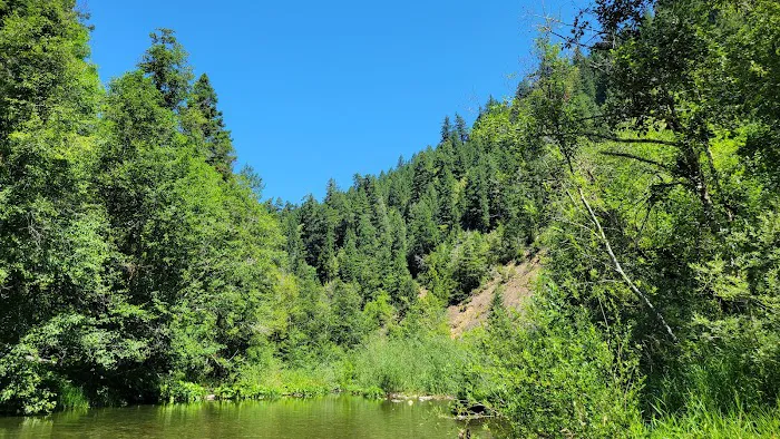 Daphne Grove Campground Picture 5