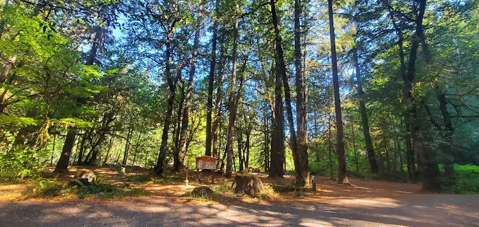 Rock Creek Campground Picture 3