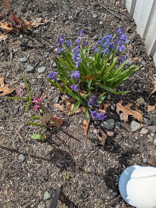 Chateau Estates Mobile Home Picture 2