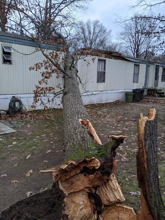 Chateau Estates Mobile Home Picture 4