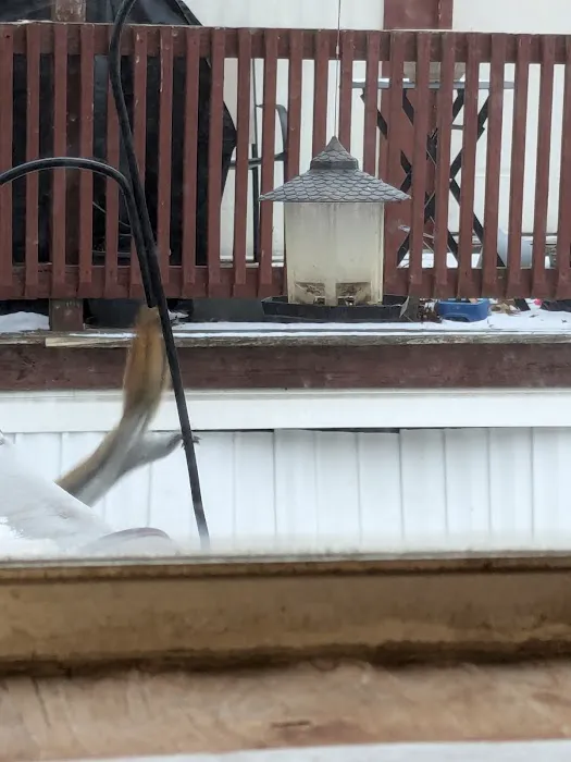 Chateau Estates Mobile Home Picture 3