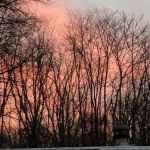 Chateau Estates Mobile Home