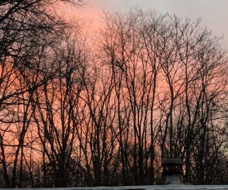 Chateau Estates Mobile Home