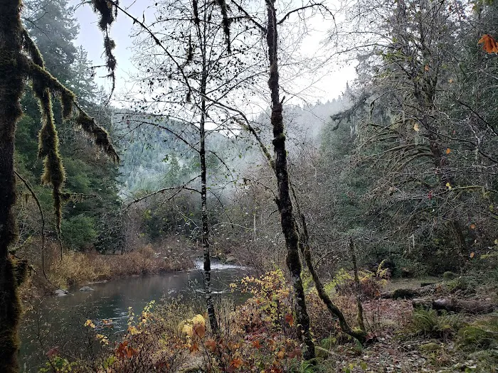 Myrtle Grove Campground Picture 2